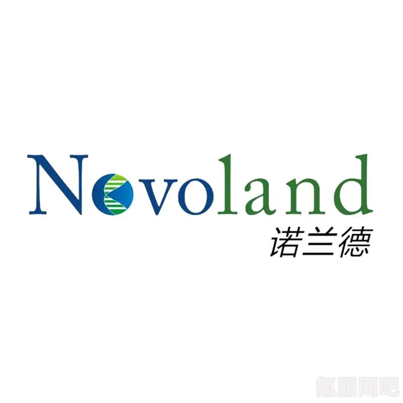 诺兰德推出时间介绍