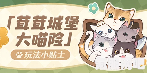 原神茸茸城堡大喵险第五关攻略详解及问答环节