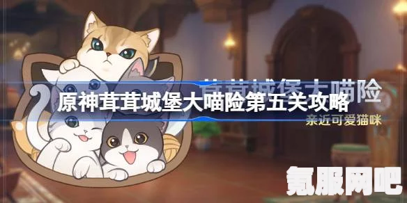 原神茸茸城堡大喵险第五关攻略详解及问答环节