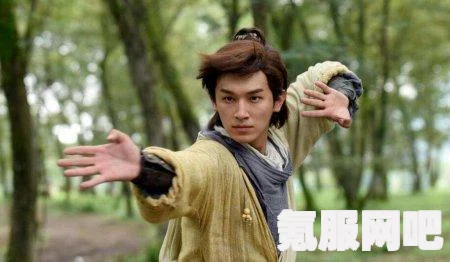射雕功法如何选择，推荐与策略