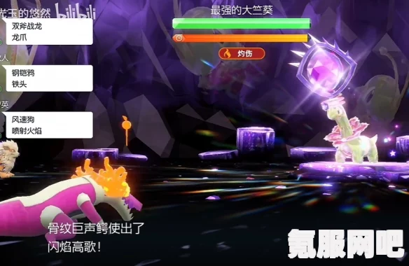 宝可梦朱紫最强大竺葵攻略，揭秘乌贼王打法