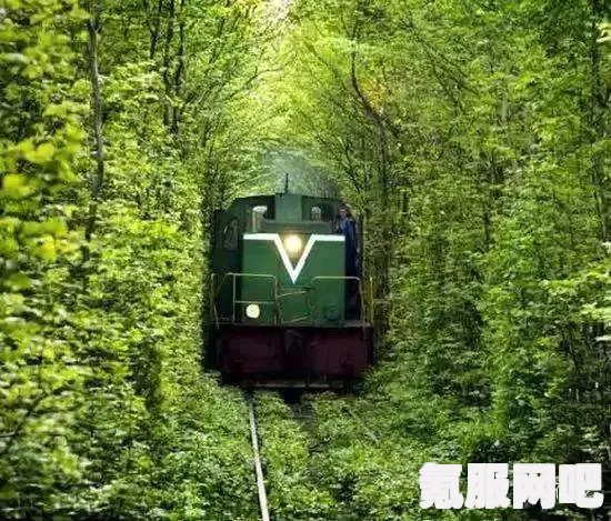 原子之心缆车隧道任务攻略，一步步带你通关