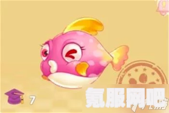 摩尔庄园，鳐鱼的出没时间与地点揭秘
