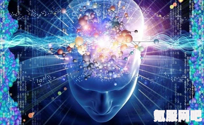 超级人类设计图，用途与功能详解