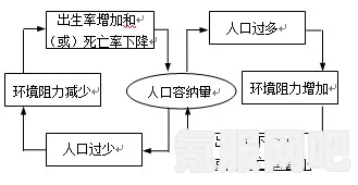 超级人类图纸携带与带出条件深度解析