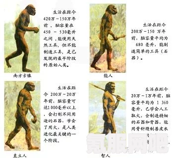 超级人类图纸的携带与带出条件解析