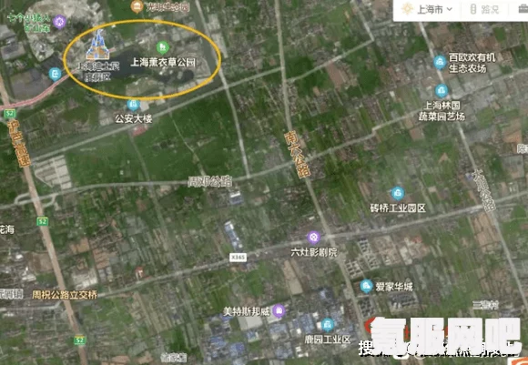 森林之子钩锁位置详解及常见问题解答