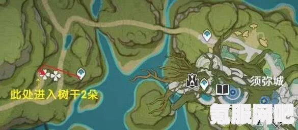 原神树王圣体菇采摘路线详解及购买地点分享