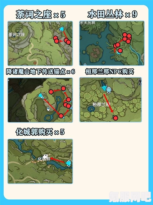 原神树王圣体菇采摘路线详解及购买地点分享