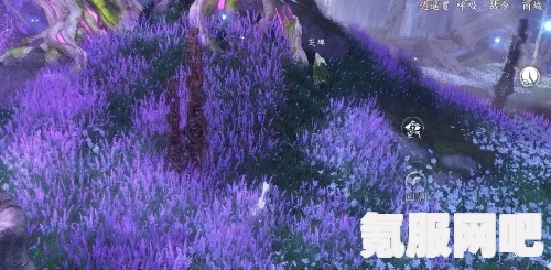 逆水寒手游永夜星都神域所需材料详解