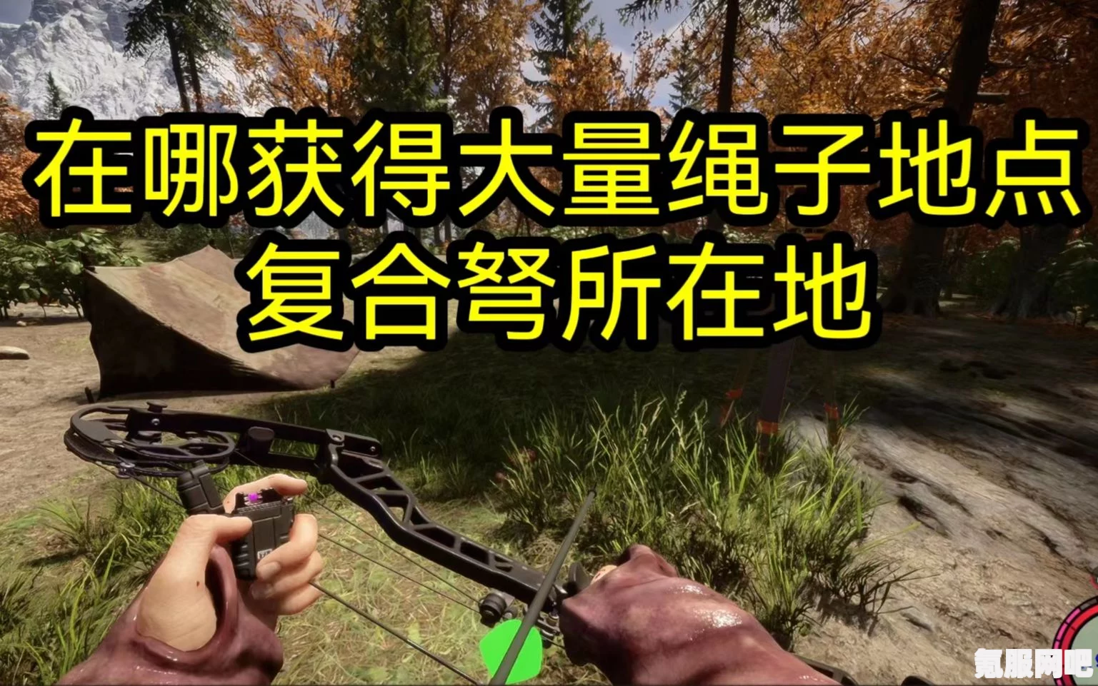 森林之子复合弓获取攻略，详细解析获得方法与步骤