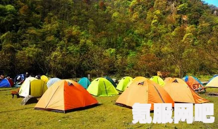 森林之子帐篷搭建攻略，从零开始的实用指南