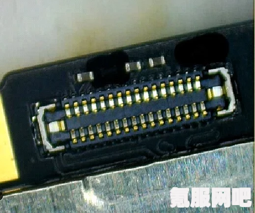 森林之子修复工具的作用与用途解析