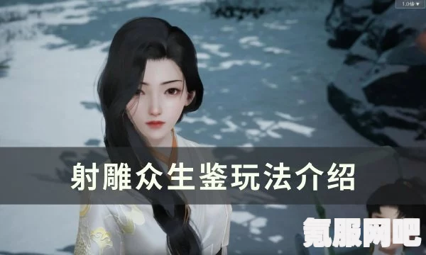 射雕众生鉴解锁攻略，一步步揭开神秘面纱