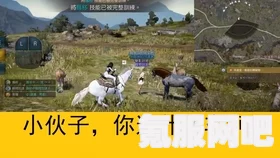 黑色沙漠游戏，洗马技能全方位指南与攻略（2022版）