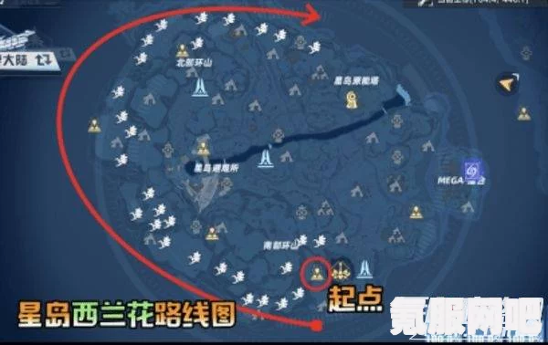幻塔角海螺全面解析，特性、用途与发展前景展望