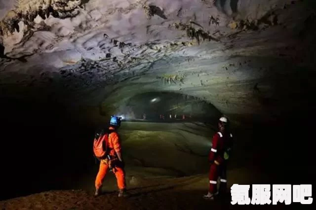 森林之子洞穴探索顺序攻略，前期洞穴探险指南
