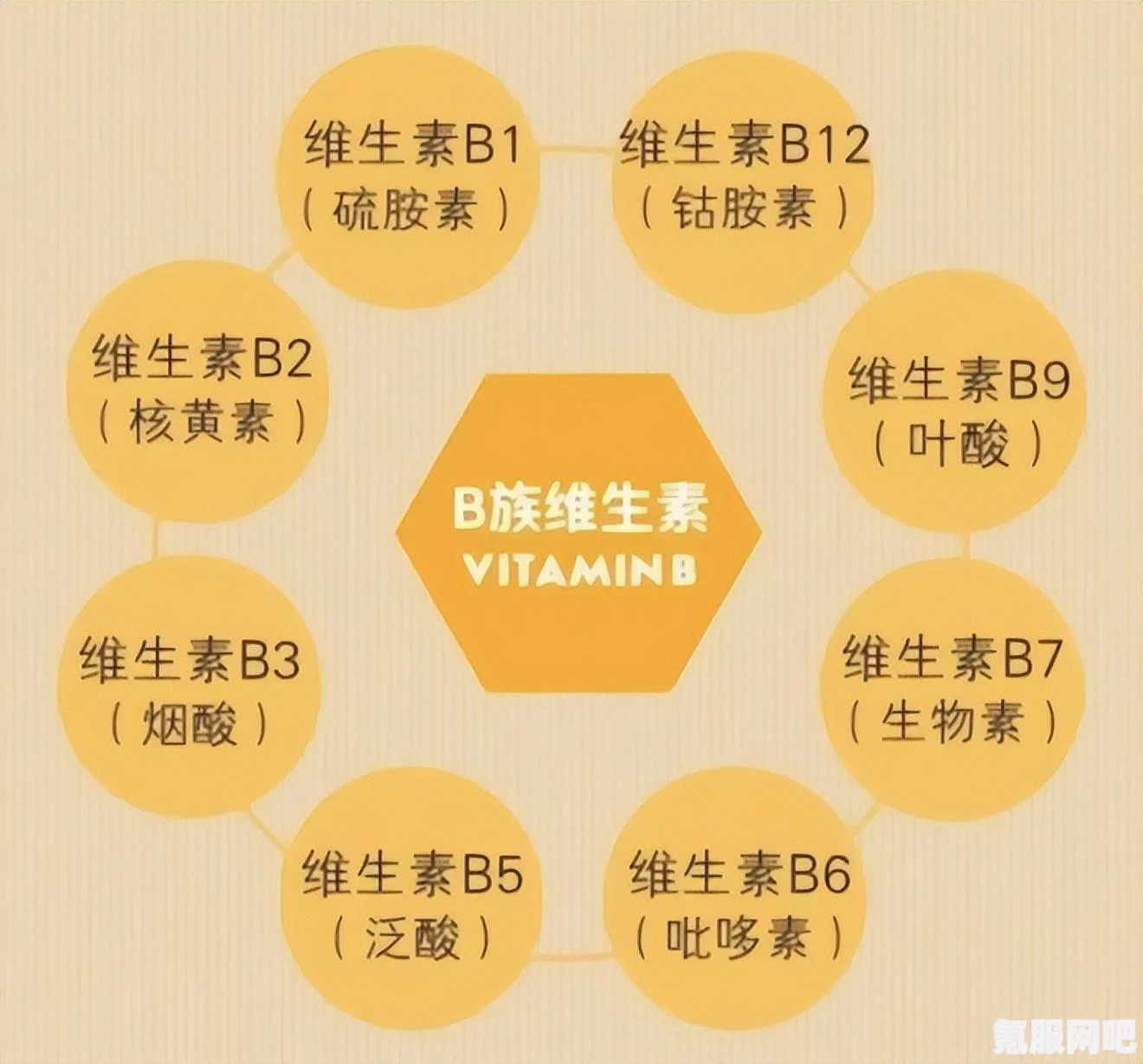 揭秘B站道理哥，背后的梗与事件全解析