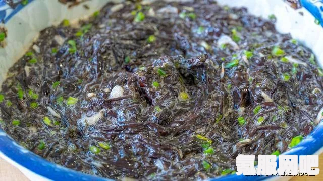 海洋之星，幻塔紫菜——全方位解读海洋营养宝库的魅力