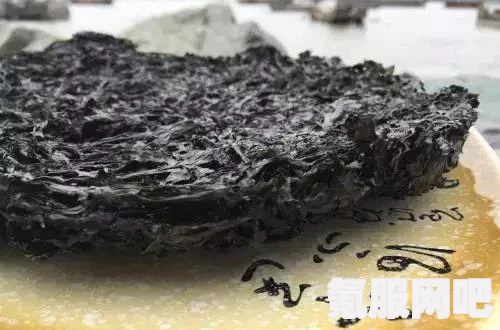 幻塔紫菜，海洋中的营养宝库，全方位解读紫菜的魅力