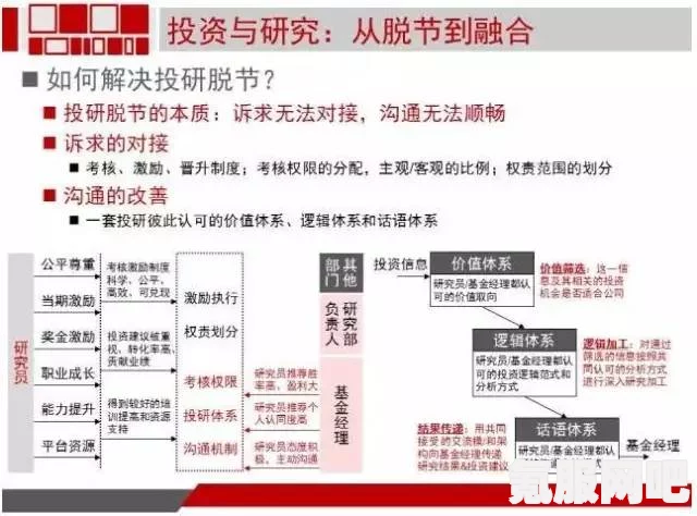 幻塔白薯，深度解析与问答环节