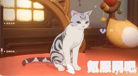 原神茸茸城堡大喵险玩法小贴士与活动指南