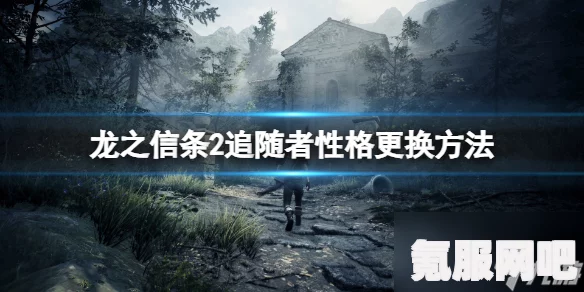 龙之信条2，追随者性格调整秘籍，解锁你的随从个性定制之旅