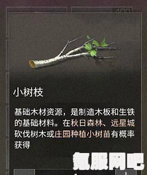 森林之子回血攻略，全面解析回血方法