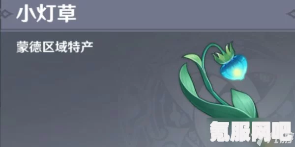 原神4.5版本小灯草采集路线图及快速获取攻略