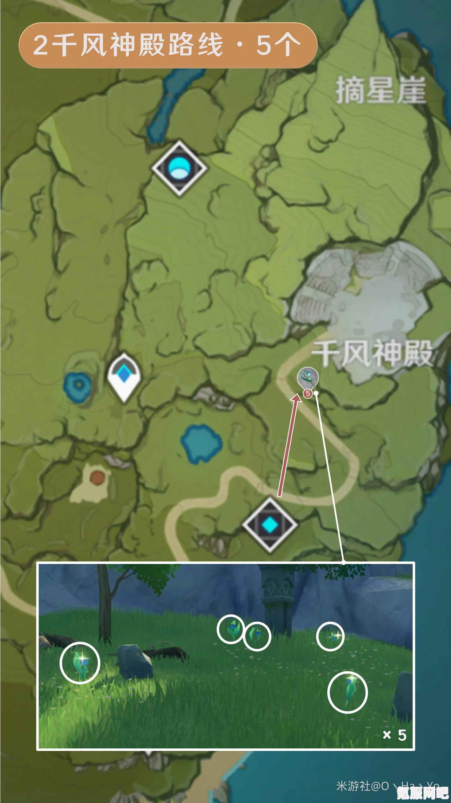 原神4.5版本小灯草采集路线图及快速获取攻略