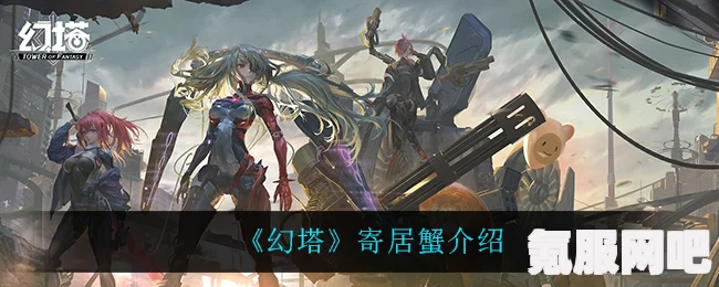 幻塔寄居蟹，全面深度解析与介绍指南
