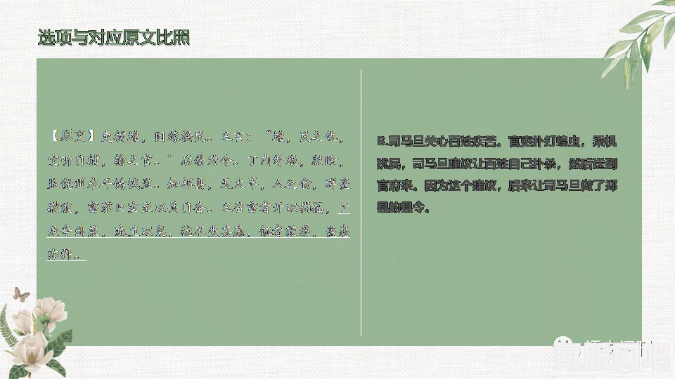 射雕化境，能力选择的智慧与策略