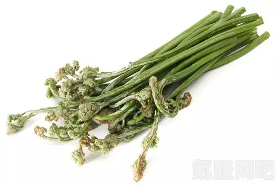 幻塔蕨菜，独特美味植物探秘