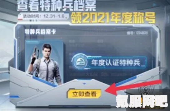 和平精英年度总结查询指南及常见问题解答