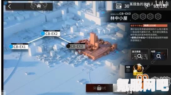 明日方舟，林的价值与培养策略解析