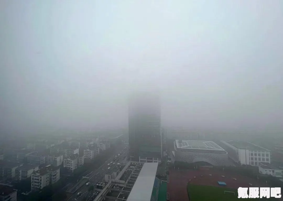 烟雨江湖救命锦囊任务攻略详解