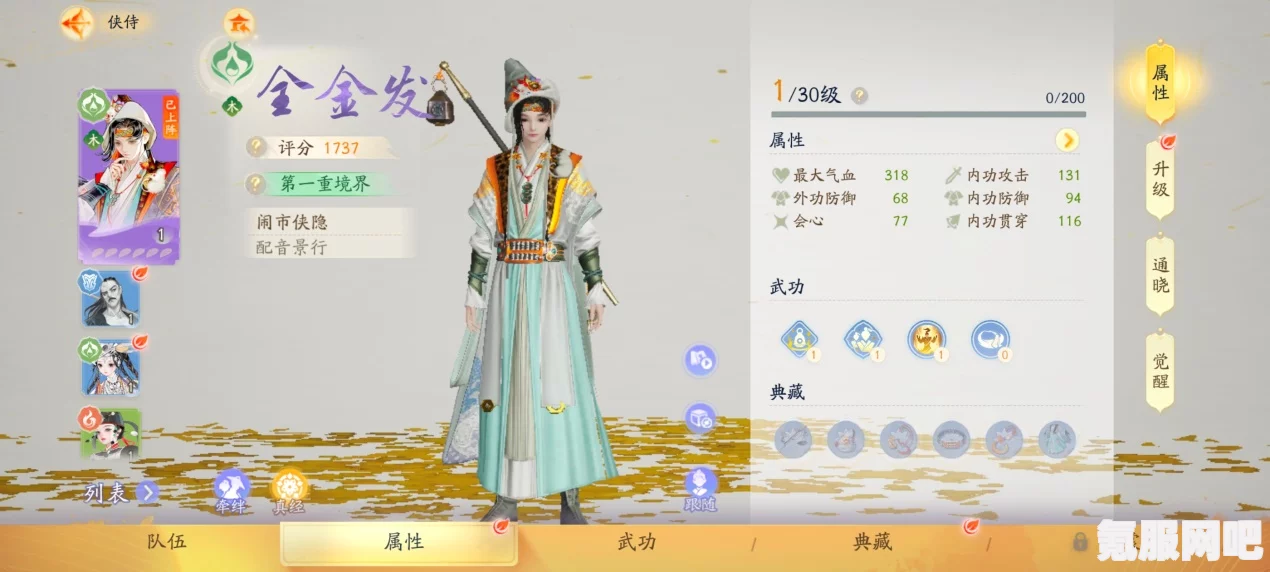 射雕南枝套属性详解，属性一览与体验分享