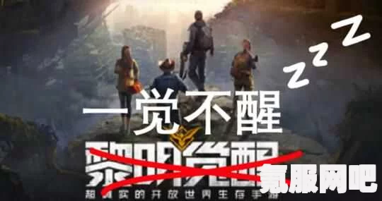 黎明觉醒进不去怎么办？连接超时解决方法及常见问题解答