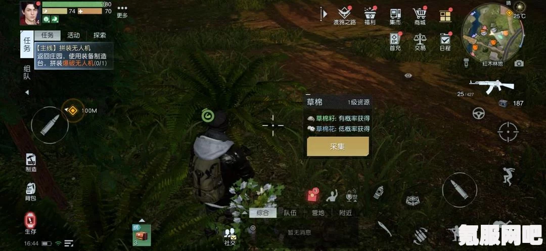 黎明觉醒生机新手采集攻略，入门指南与注意事项