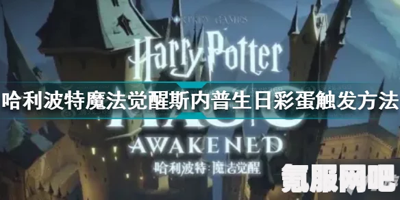哈利波特魔法觉醒，斯内普教授生日彩蛋揭秘