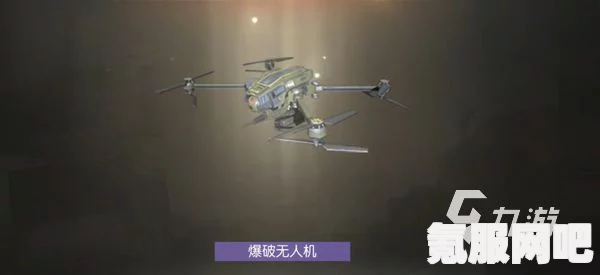 黎明觉醒生机无人机攻略，玩转无人机的技巧与策略