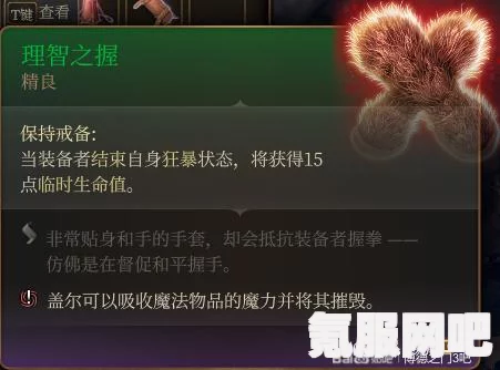 博德之门3理智之握获取攻略，全面指南与常见问题解答