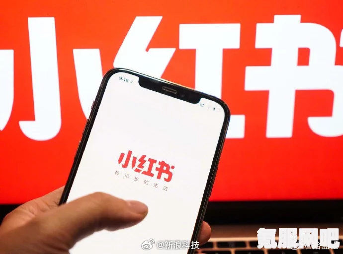 小红书遭遇服务中断与推荐页面大变，深度解析原因及后续影响