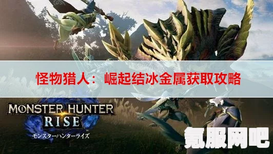 怪物猎人崛起，结冰金属的采集位置指南