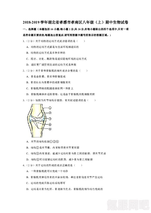 原子之心动物谜题解谜攻略及常见问题解答