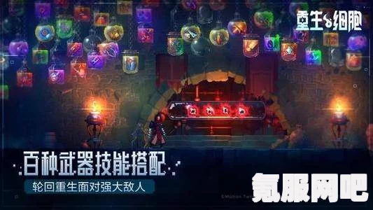 重生细胞碾碎机,使用指南及效果详解 重生细胞碾碎机,使用指南及效果详解