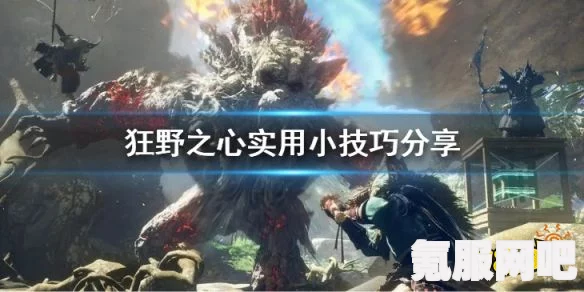 狂野之心归处任务攻略，详细步骤助你轻松完成