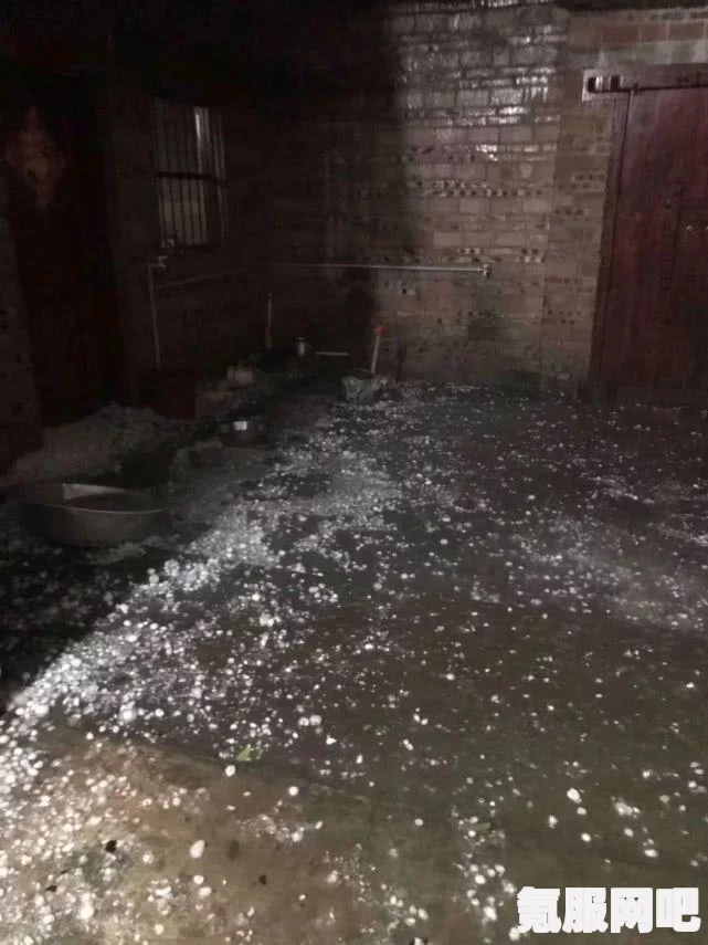 狂野之心伞刃输出手法详解与推荐攻略