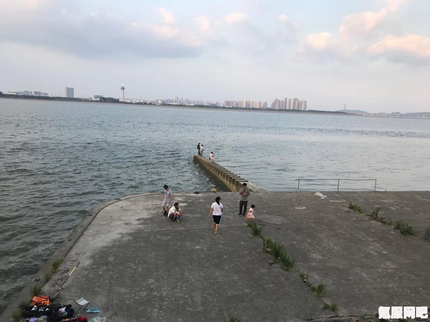幻塔银鲈鱼，深入解析这一神秘海洋生物