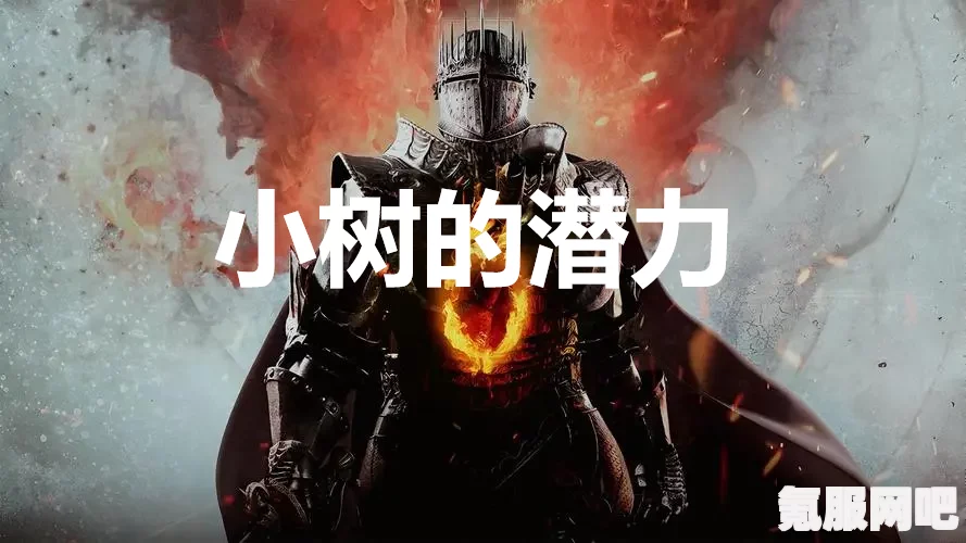 龙之信条2，苦恼的嫩枝任务攻略与支线攻略详解